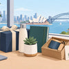 Sydney Office Gift Ideas That Feel Personal